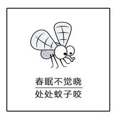 晚上睡覺蚊子嗡嗡叫？只需幾招，就能把蚊子團(tuán)滅！